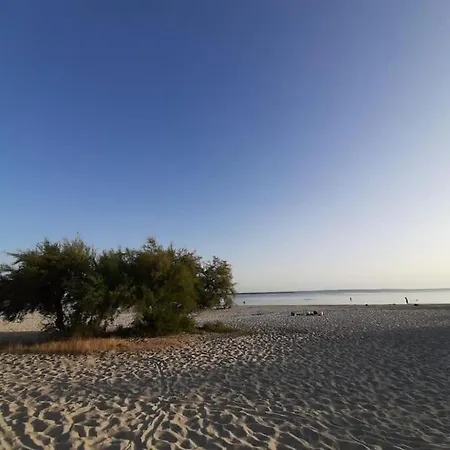 度假居 La Maisonnette De Suzette *